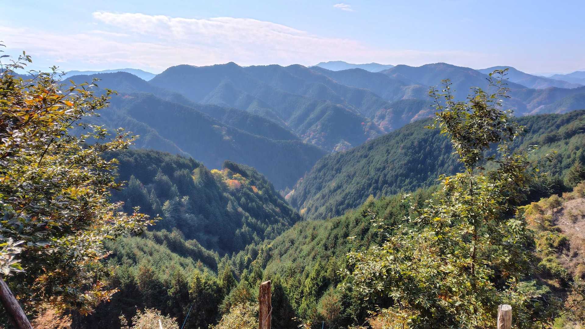 良い展望です😊
市道山に続く峰々