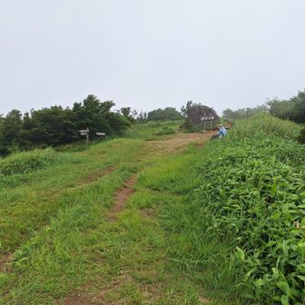 ガスで展望は無いが、山頂には涼しい風が吹いて心地よく、汗が引いた😊
ウグイスやカッコウの声を聴きながら、しばらくボーっと休憩✨