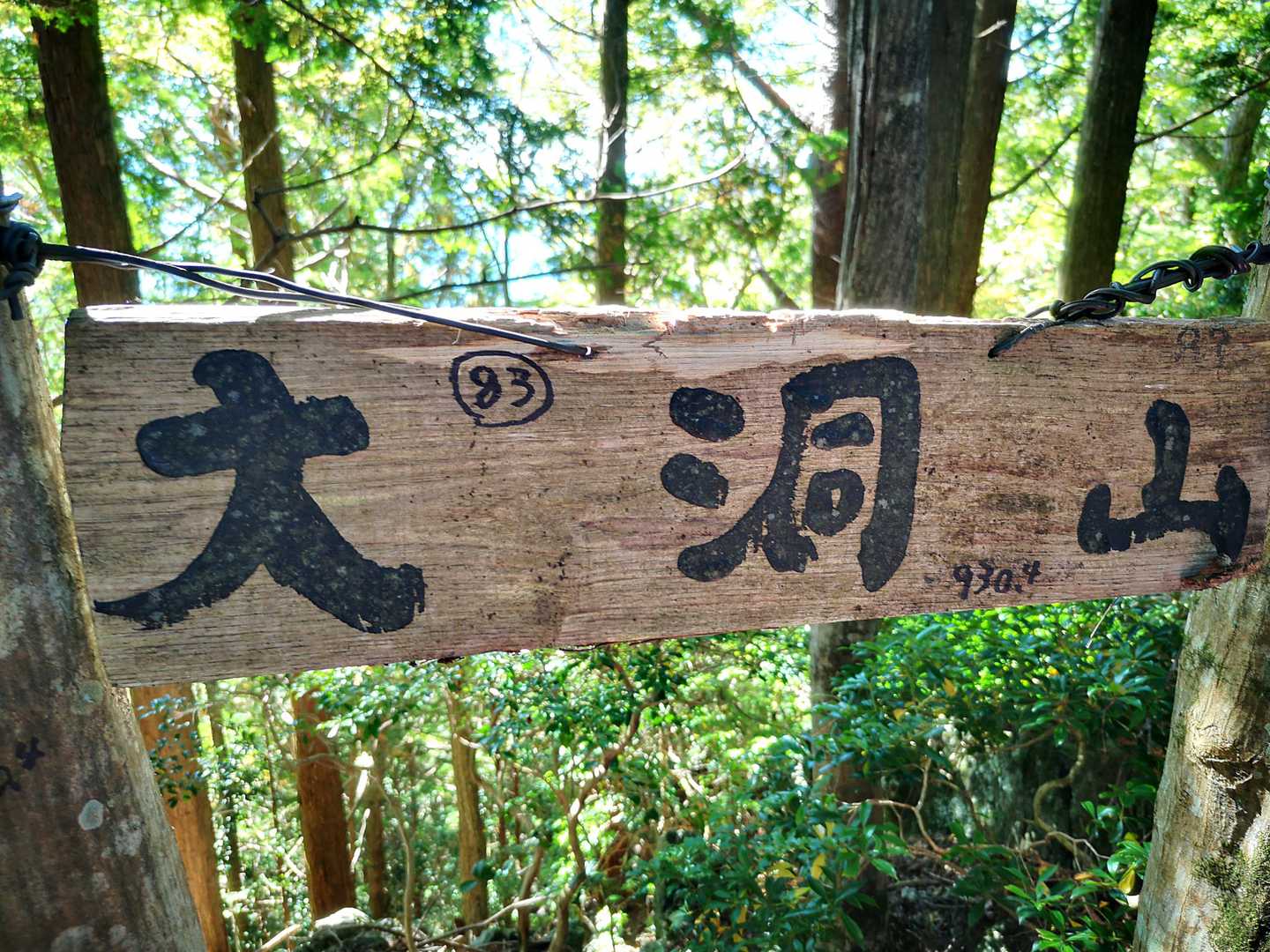標高と水窪100ナンバーを追記