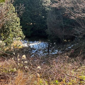 登山道には無いけど、陰になる所に雪が残っていた