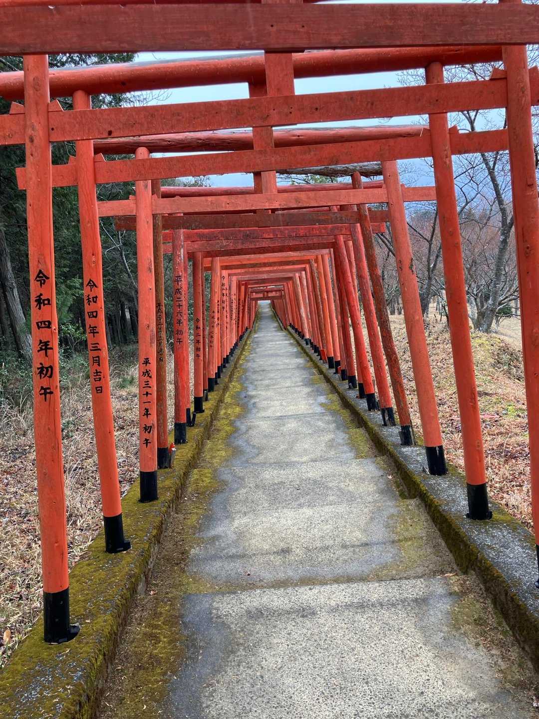 すご〜い