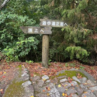 遊歩道正面へ