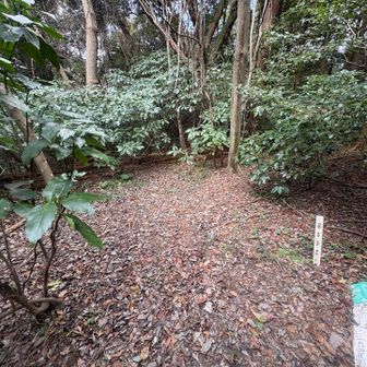 こんな所にくるかな…🙄