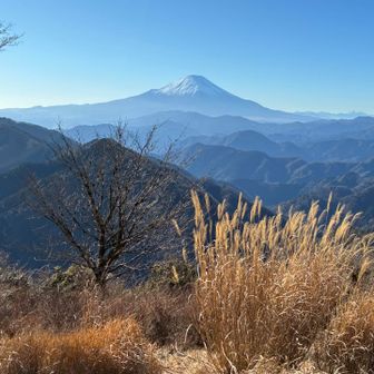 鍋割山からの富士山、いつもながら絵になるなぁ