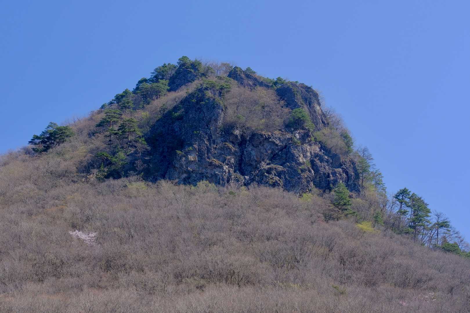 無事下山しゴリラを振り返る。下を眺めていたところは、どの辺りだったのだろうか。