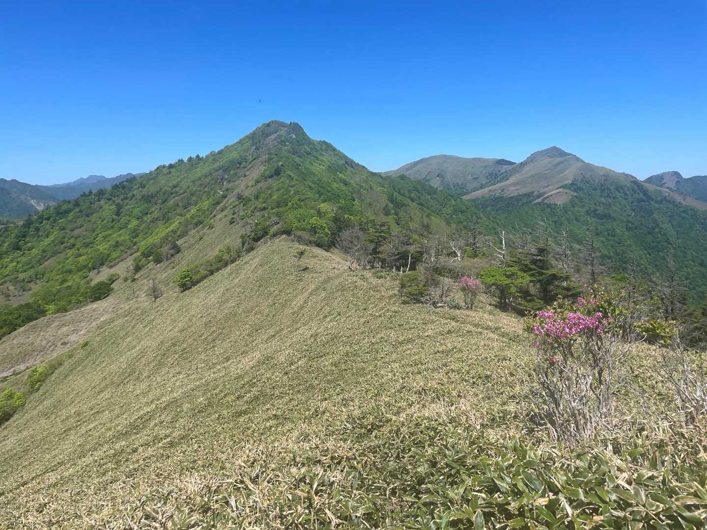 高薮登山口-平家平-冠山 往復コースの写真