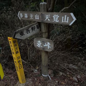 東峠到着
今日は、まだまだロード歩きが続く🚶‍♀️