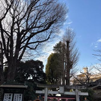 花園稲荷神社
五條天神社は少し左にいきます⬅️
