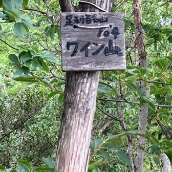 足利百名山　ワイン山🍷着きました⛰️
さあ、折り返し地点‼️帰ります