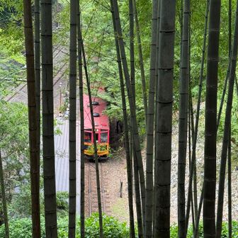 トロッコ嵐山駅。
