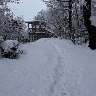 東屋が見えました！
どなたもいないので貸切です。
ここまでで何往復もする
トレランさん2名と何度もすれ違う。
私たちだいぶ遅すぎてお恥ずかしい🐢