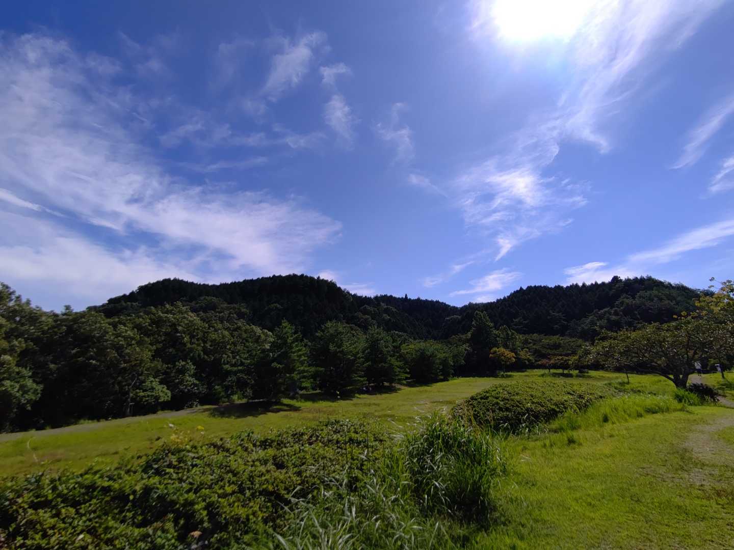 この公園🏞めちゃくちゃええやん🤩
多目的広場に⚽🍙🍡🏕️