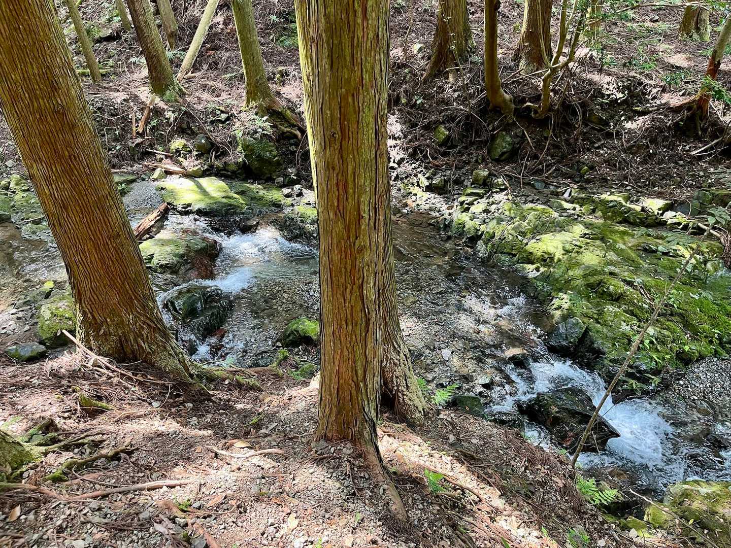 はい。いつもお水綺麗✨😌