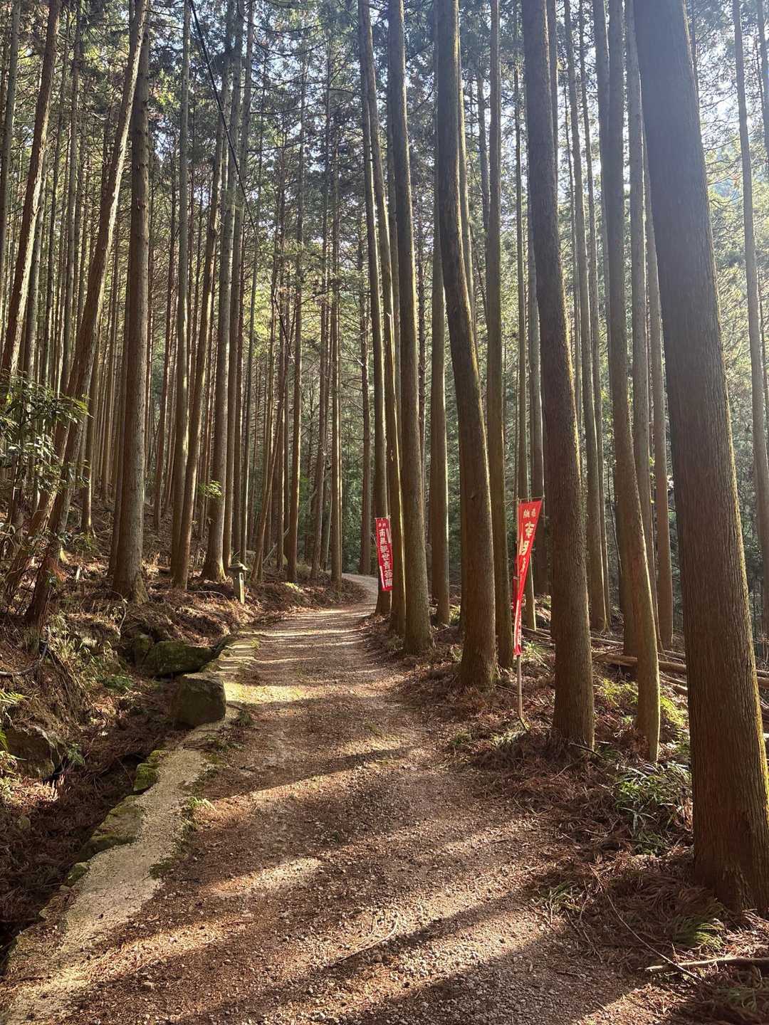 雰囲気は良いが･･