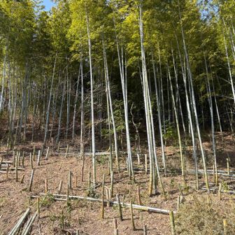４４座目女山付近の景色
女山は立ち入り禁止