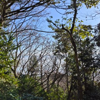 登山口から1時間弱歩くとだんだんと琵琶湖が見えてくる