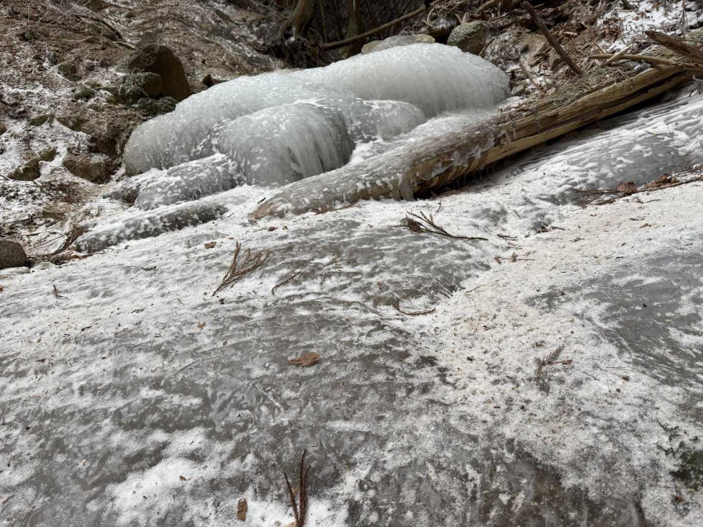ルートも氷結