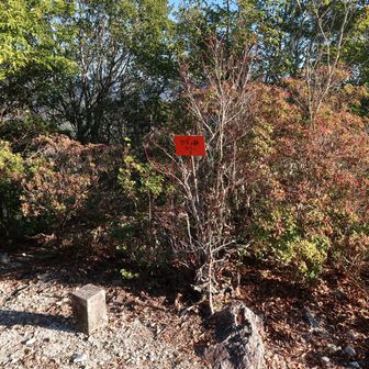 ここまでは眺望ありません。