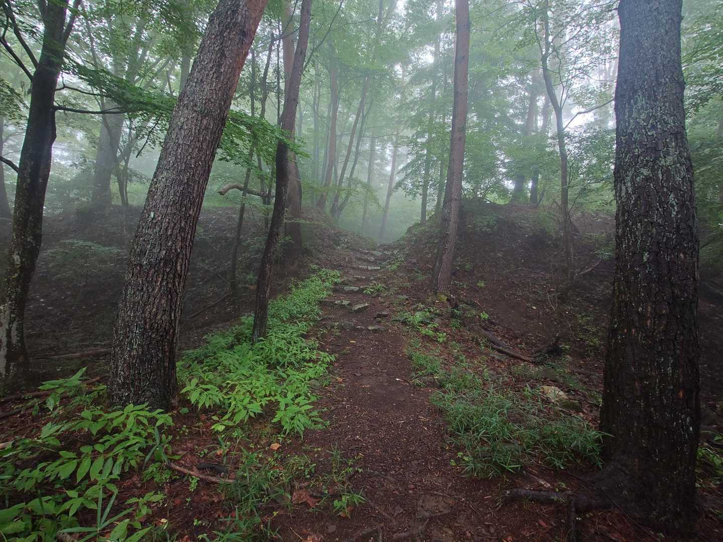 要害山登山口-要害山 周回コースの写真