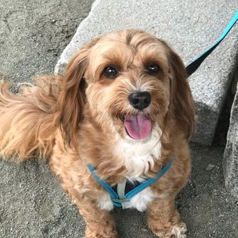 京ちゃん大好き