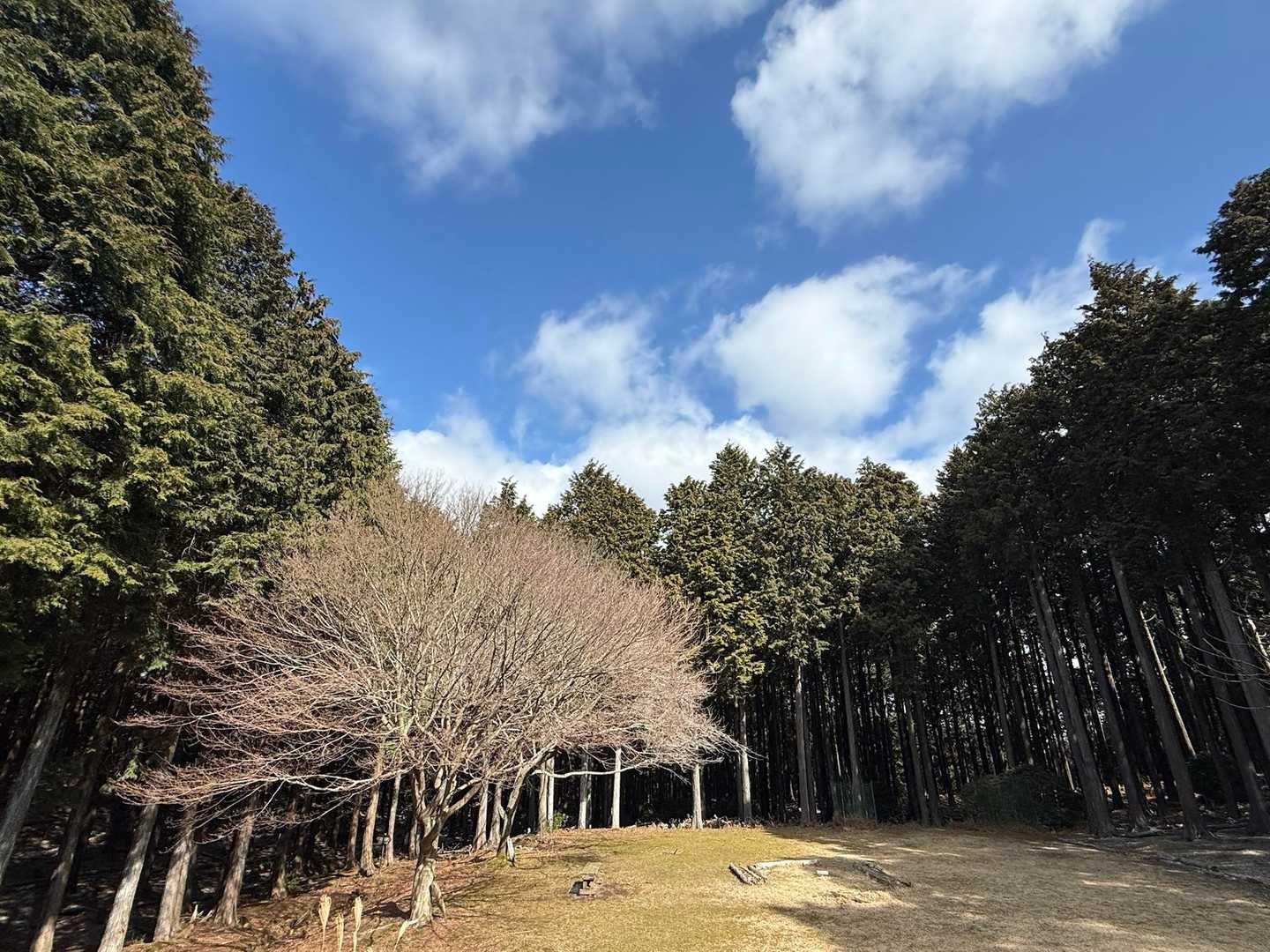 小屋前には広場があり、テント泊が出来そうなくらい広々しています