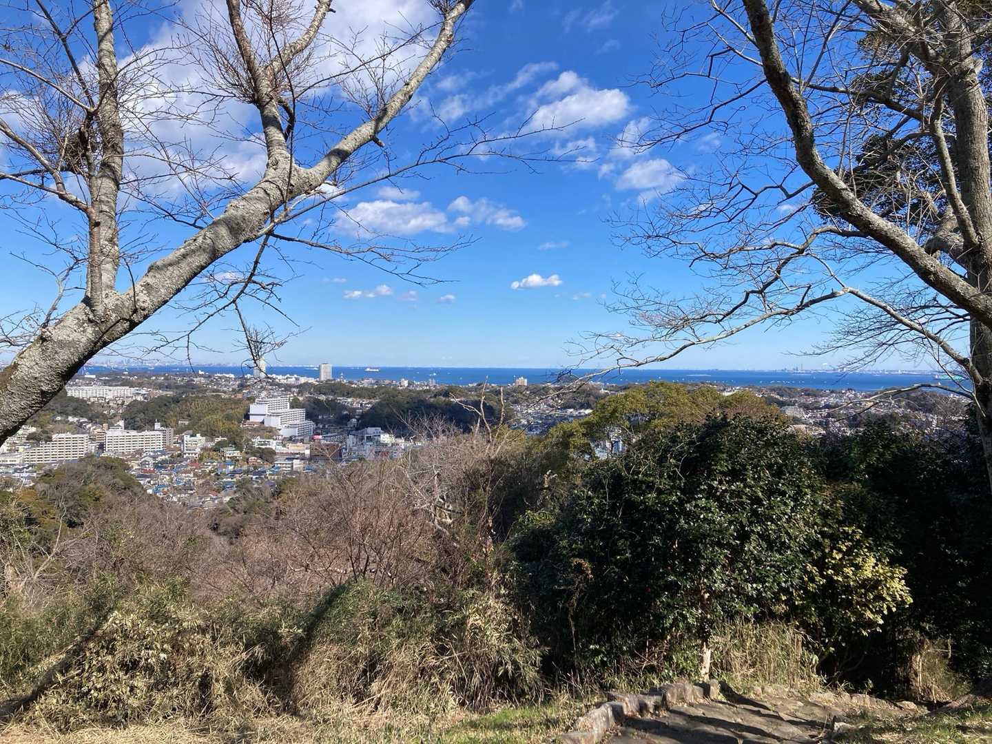 前田橋バス停-大楠山ハイキングコース入口-大楠山-衣笠山- 縦走コースの写真