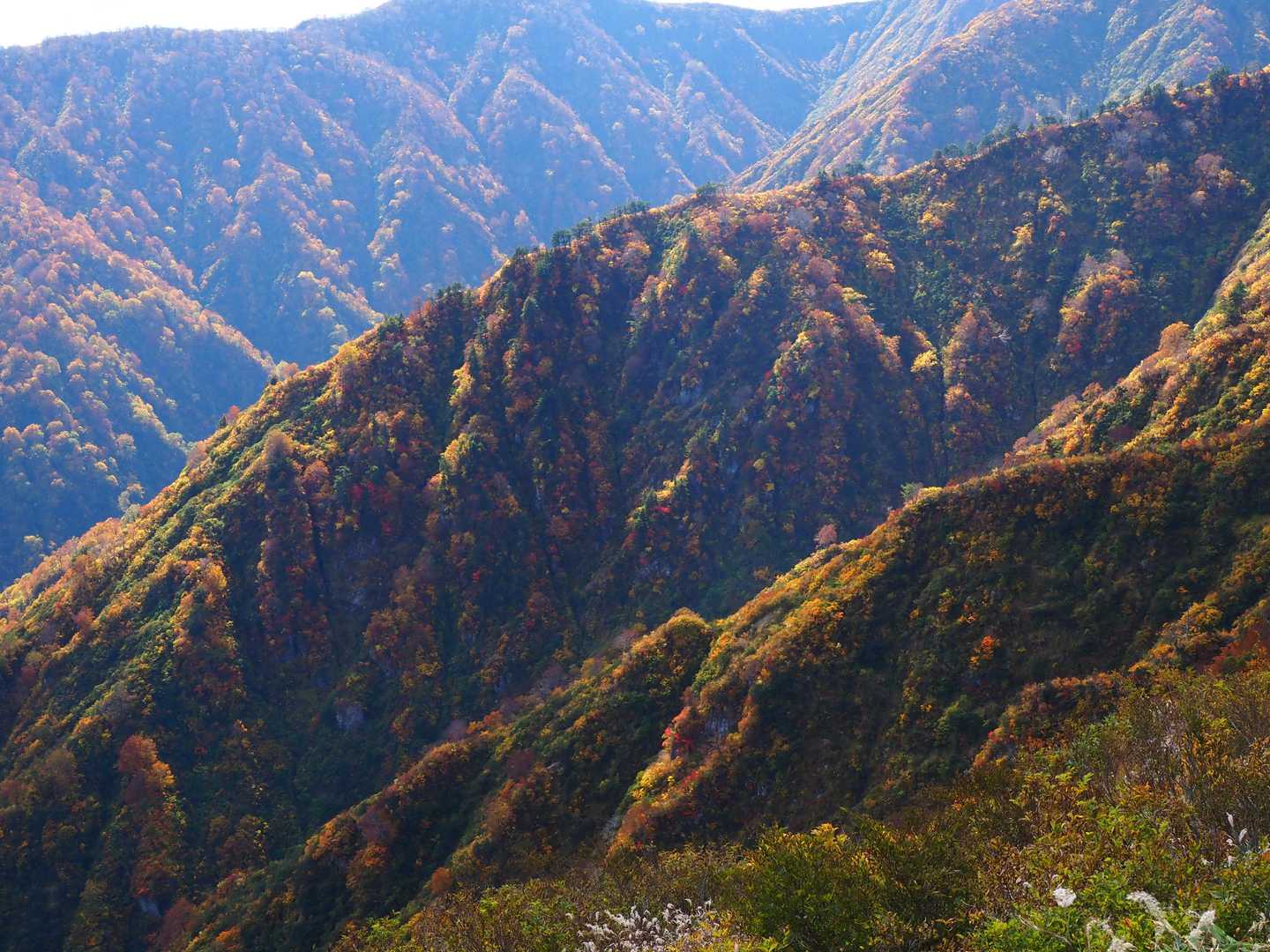 眼下の谷も素晴らしい紅葉🍁