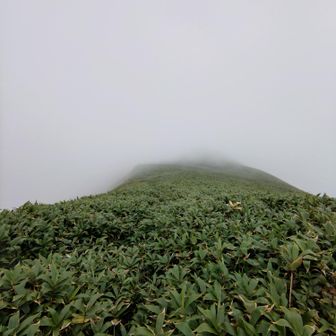 腰高藪こぎ、ヘビの恐れ🐍ルートいまいち
冬にまた伺います🏔️