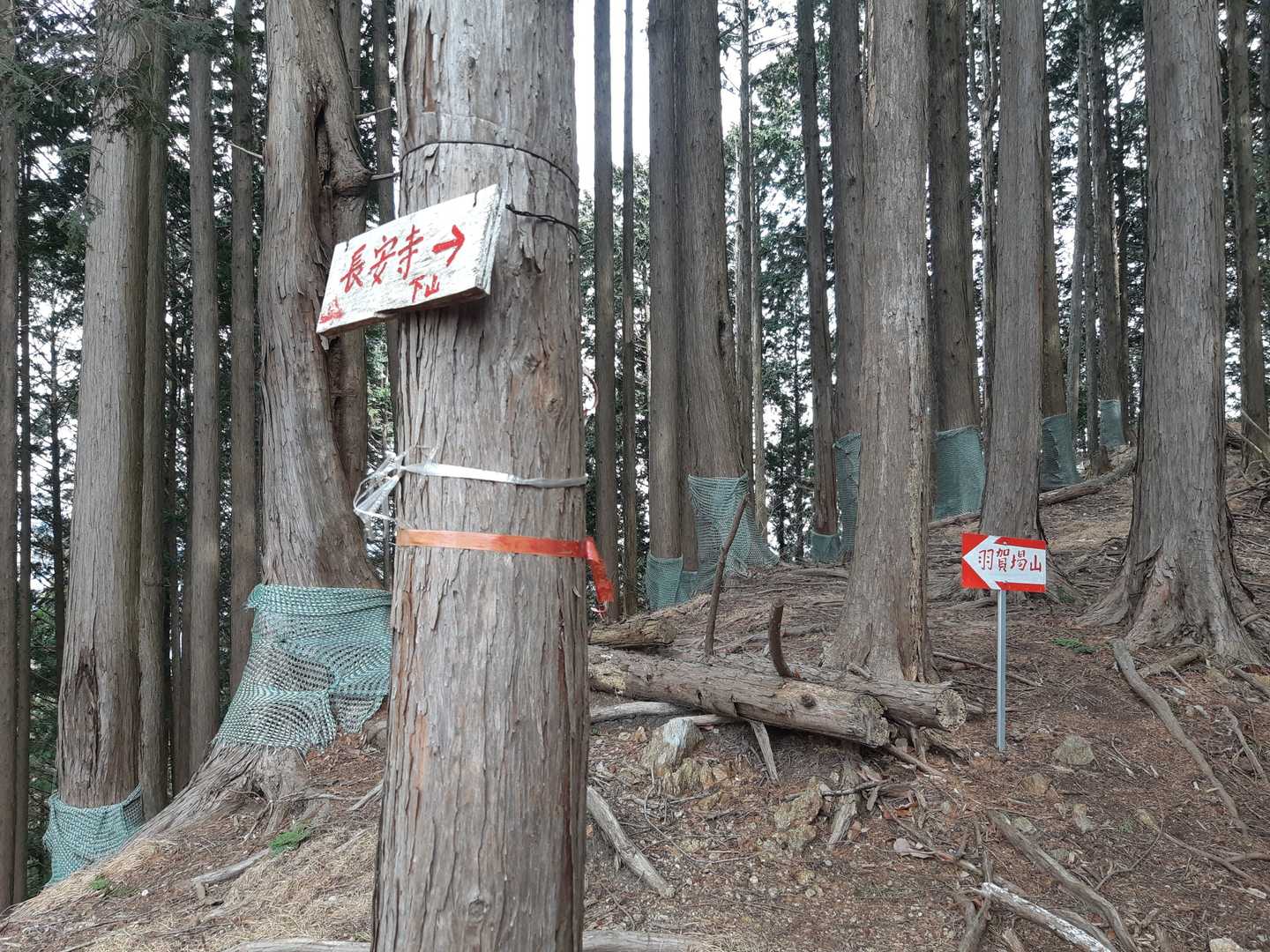 以前…まっすぐ進んだ記憶あり…😅