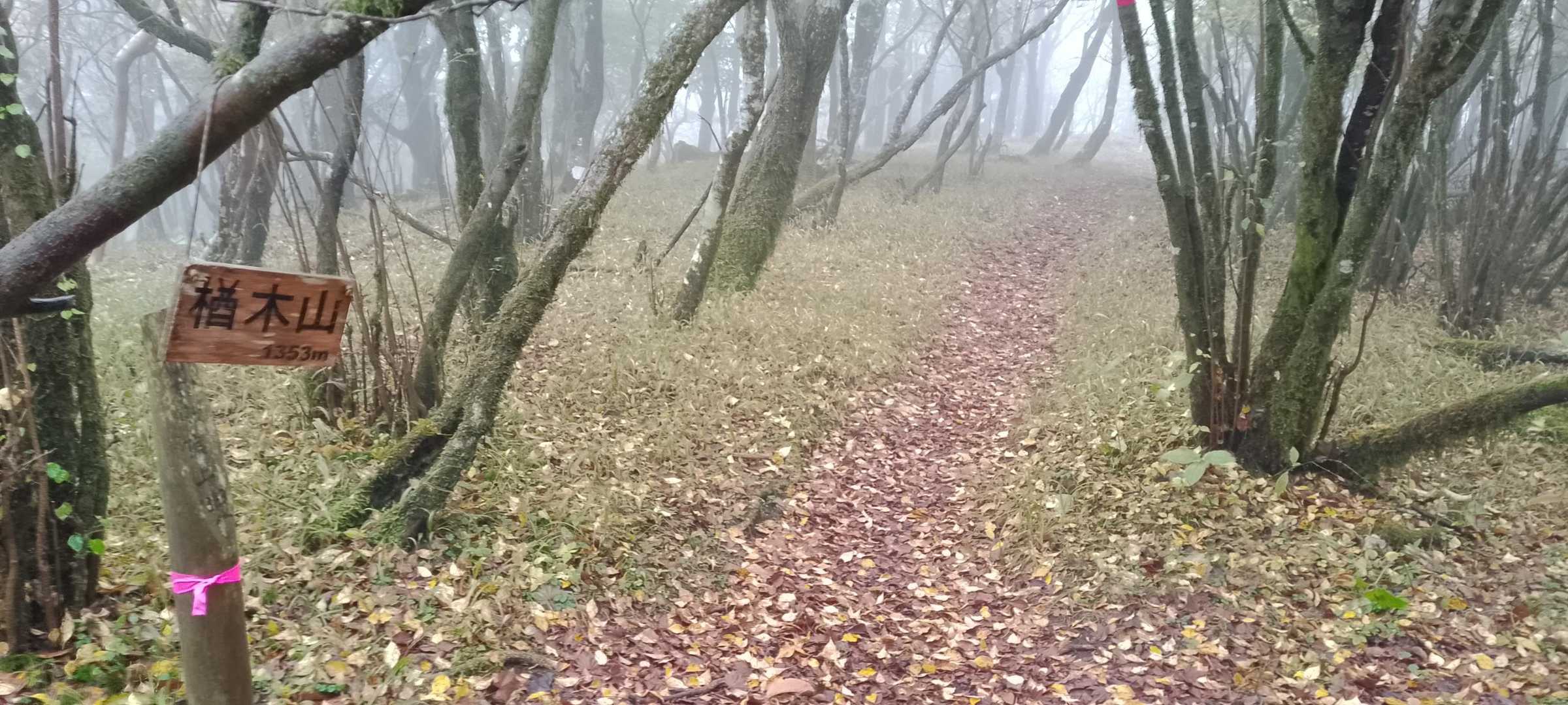 楢木山到着。何もないのですぐ折り返し。