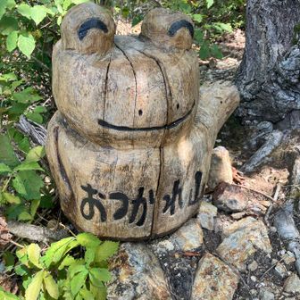 カエルさんも元気そうです