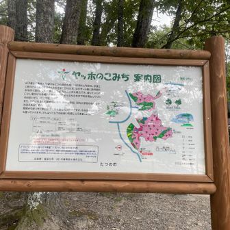 ヤッホーの森へ🌳