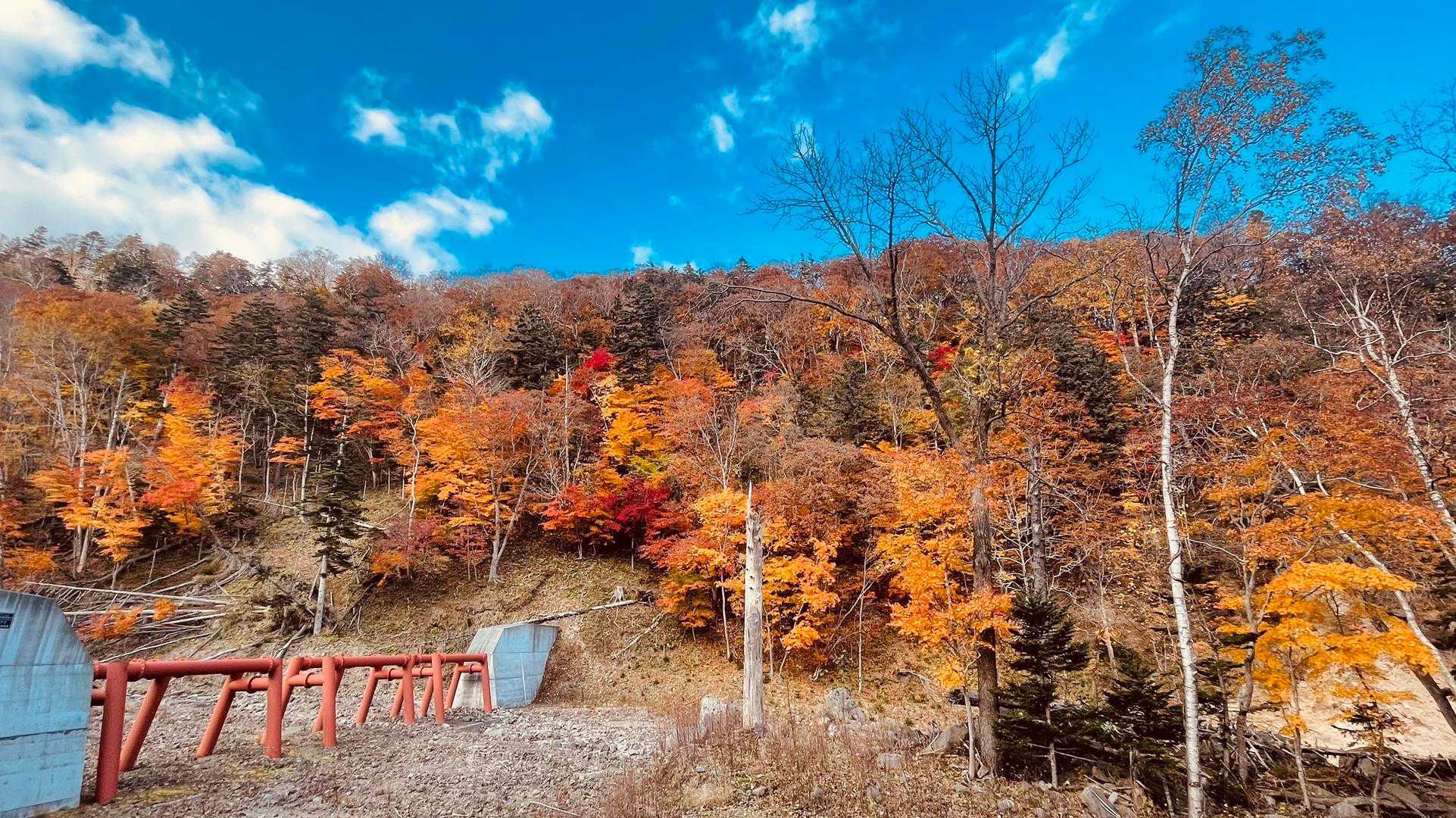 恵庭岳登山口-恵庭岳第二見晴台 往復コースの写真