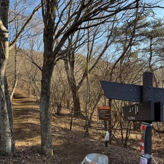 ここから登山道　こっちから登る人は少なく３人くらいしか会わず
殆どの人が石割山の方から来ていました