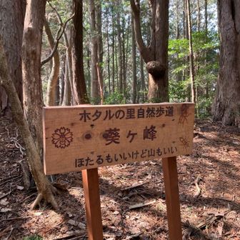 「葵ヶ峰」
きれいな標識が多いです。整備が行き届いている感じ。