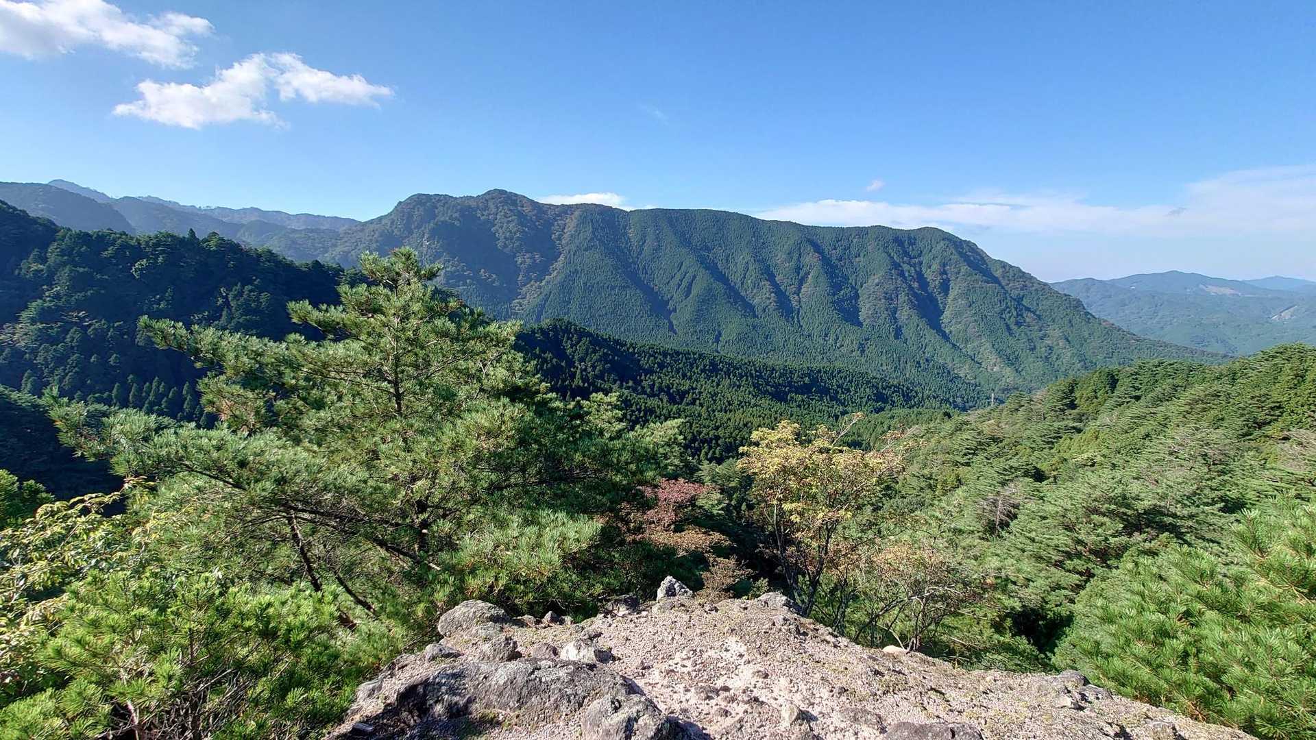 別所登山口-奉幣殿-鬼杉 往復コースの写真