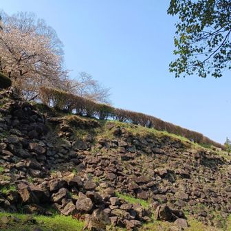 この石垣も当時の物でしょうか🤔所々大分崩れてます💦