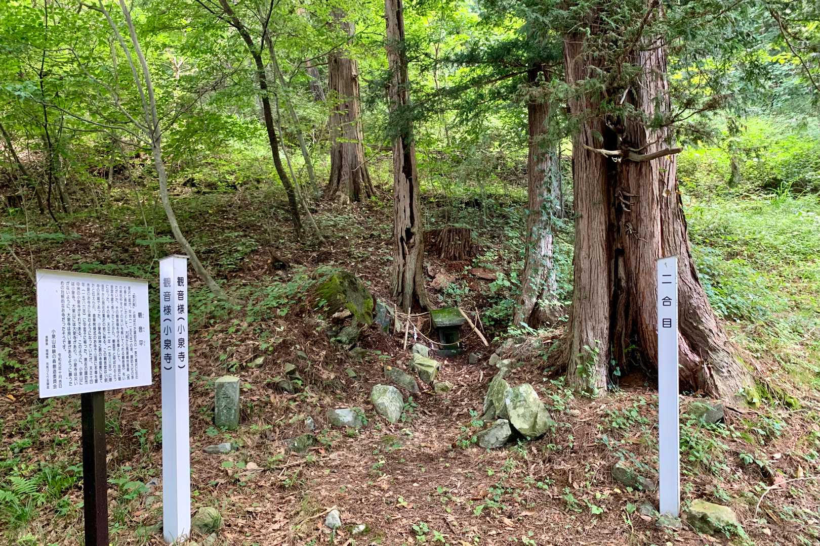 早くも2合目。観音様🙏