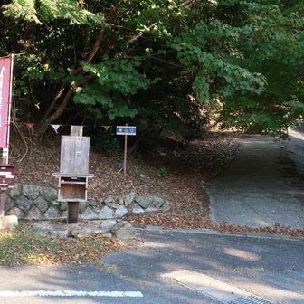 朝明渓谷有料駐車場🅿️横の朝明登山口から出発します🛫。