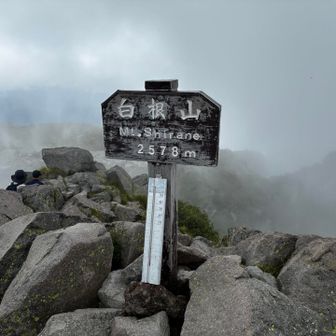 山頂でガスってきてここに来て道に迷う。時間を相当ロス。