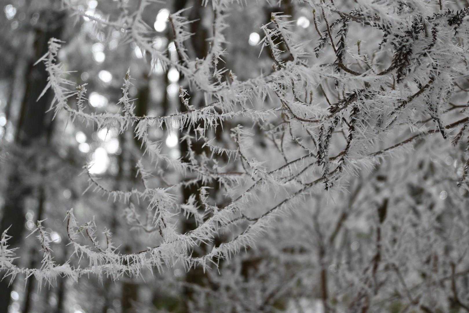 ❄❄❄