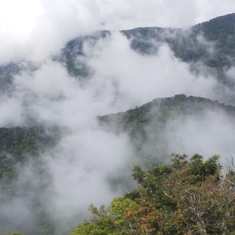 万二郎岳から
雲が幻想的です。