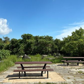 東山公園で一息