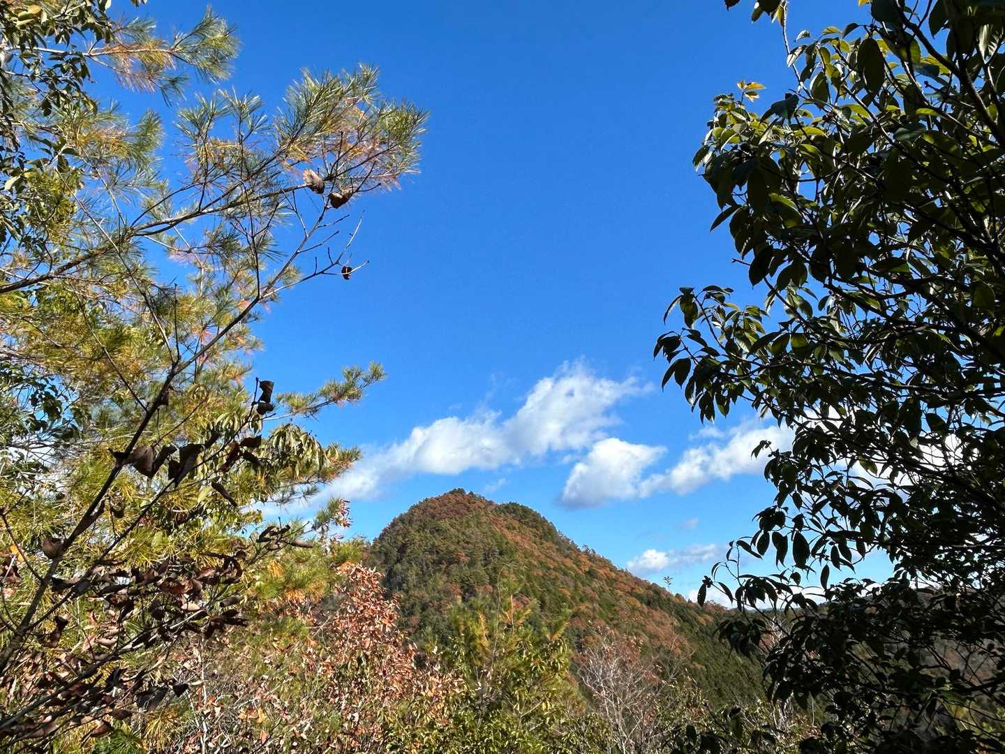 みのかも健康の森登山口-高木山登山口-高木山-富士山 周回コースの写真