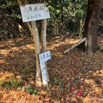 小鷹城山
木々に遮られ眺望が無くなっている