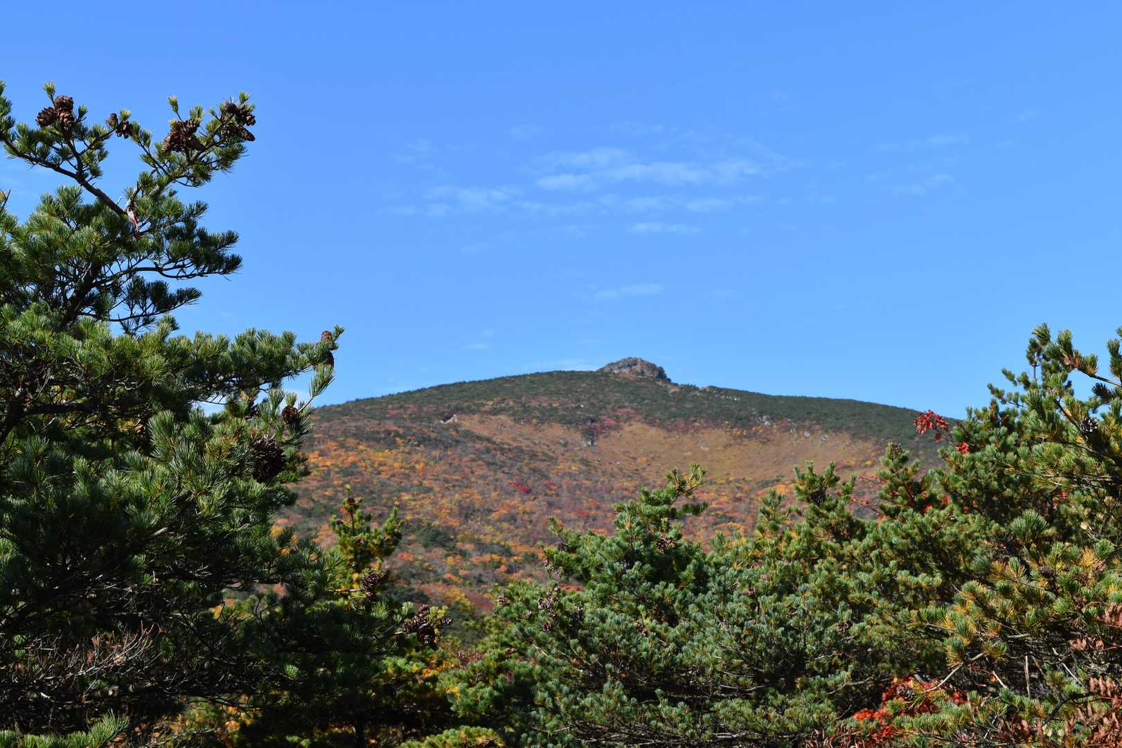 登っていくと安達太良山がはっきり見えました