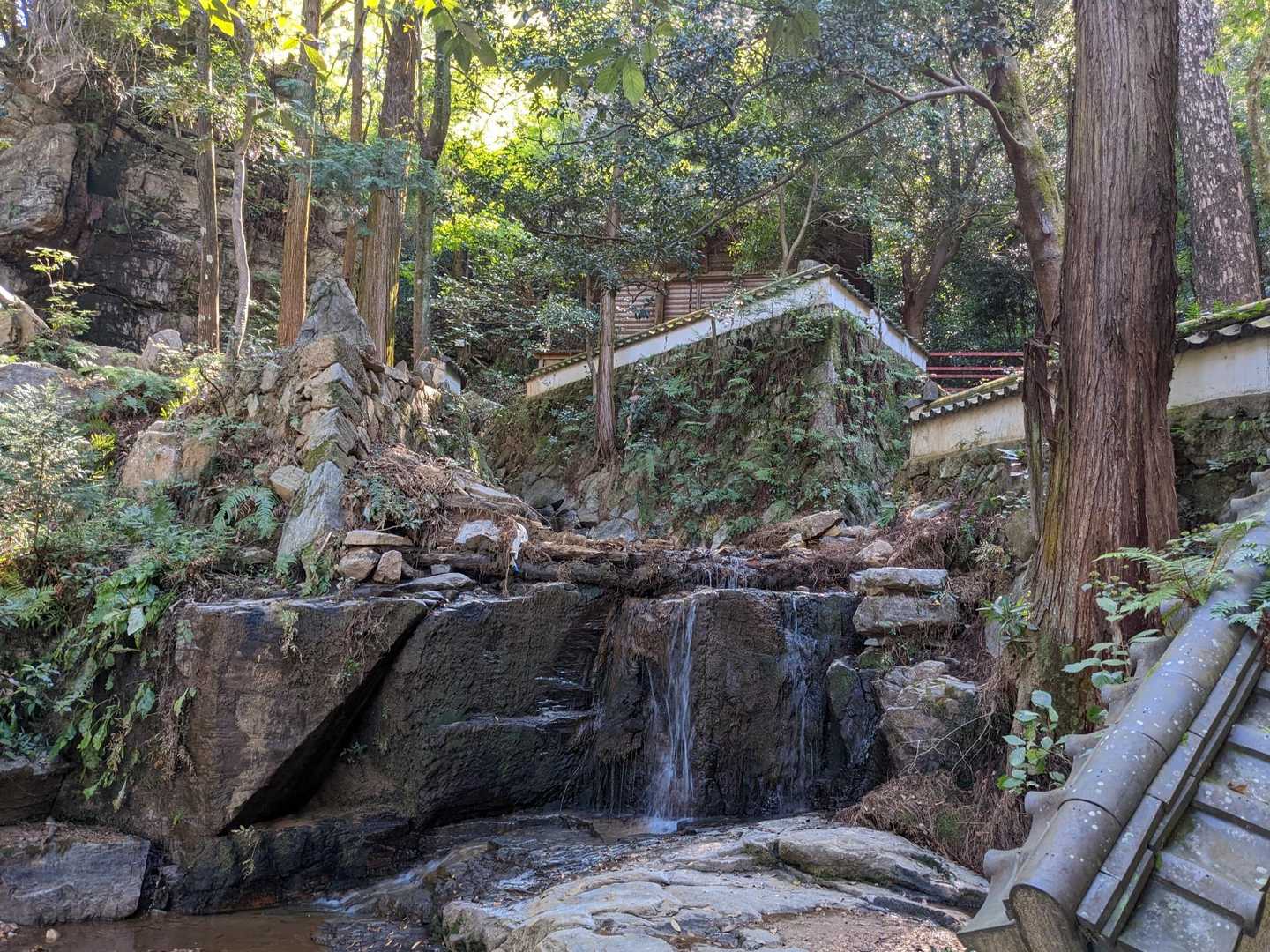 茶臼山-イナバ山 往復コースの写真