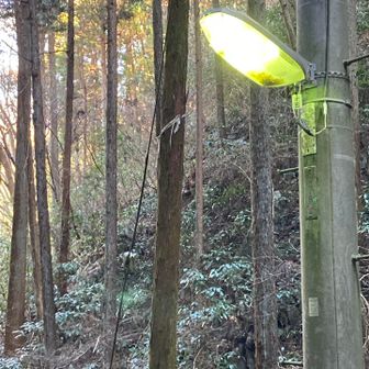 もうすぐ蛇滝口。昼間も薄暗くて14時なのに街頭ついてます