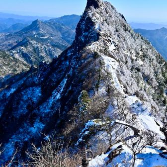 今年　ハーフ白天狗　ドーーン🤣🤣
