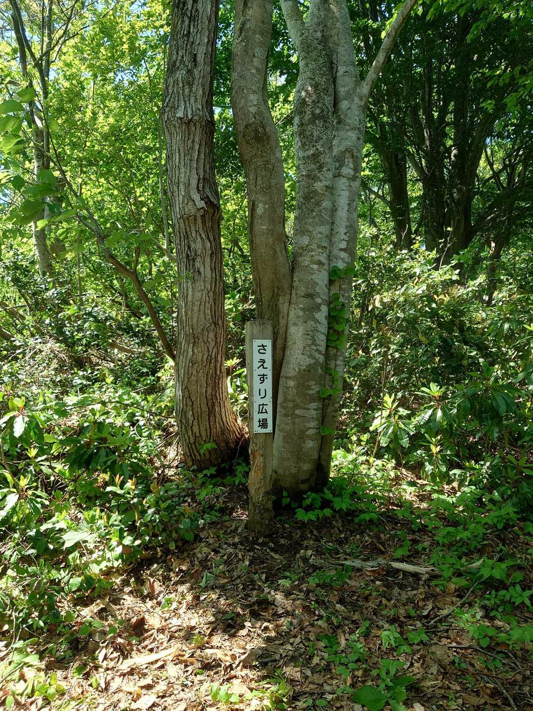 なんとか半分まで来ました
ココからはほぼなだらかです🐖